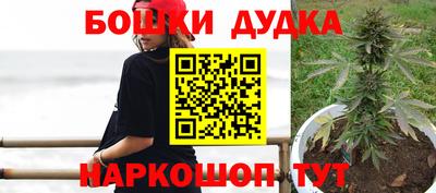 альфа пвп Волгодонск