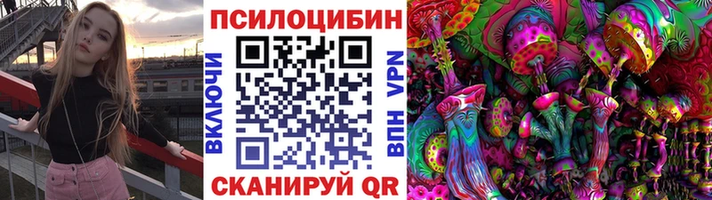 цены   Дзержинск  кракен ссылки  Псилоцибиновые грибы Magic Shrooms 