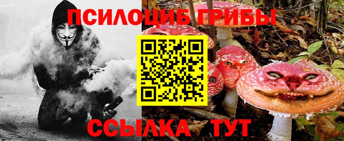 Галлюциногенные грибы Psilocybe  Псилоцибиновые грибы прущие грибы  Вход с VPN  Дзержинск 