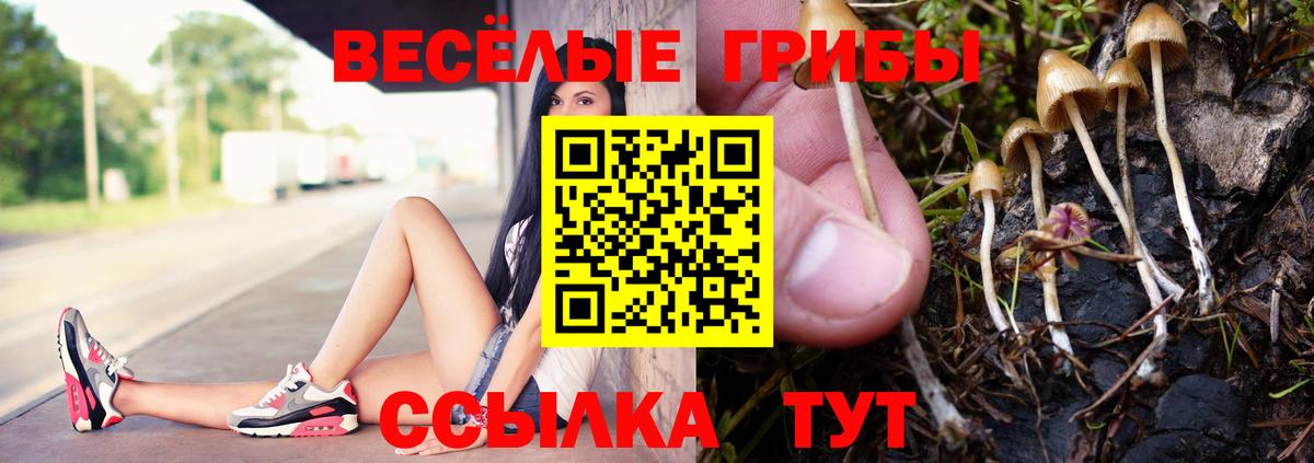 Псилоцибиновые грибы мицелий Дзержинск